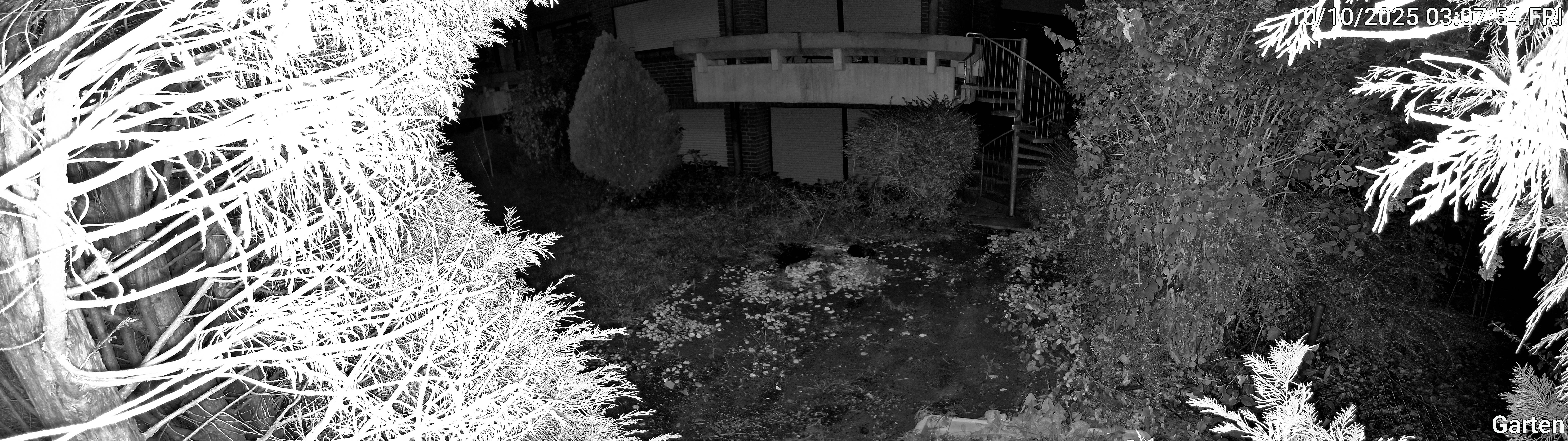 Garten_00_20251010030754.jpg