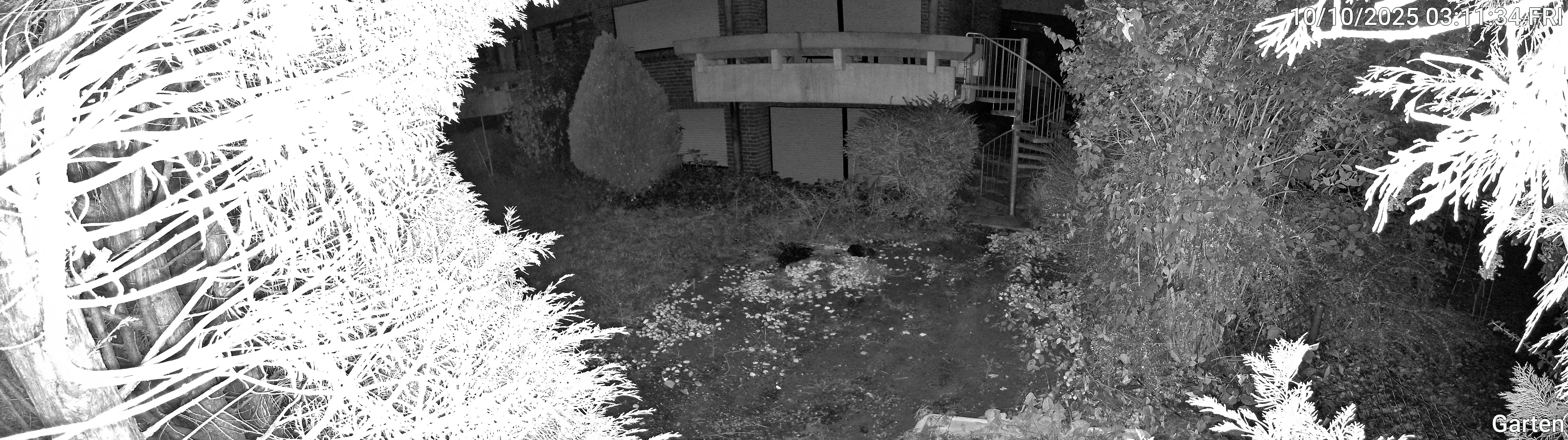 Garten_00_20251010031134.jpg