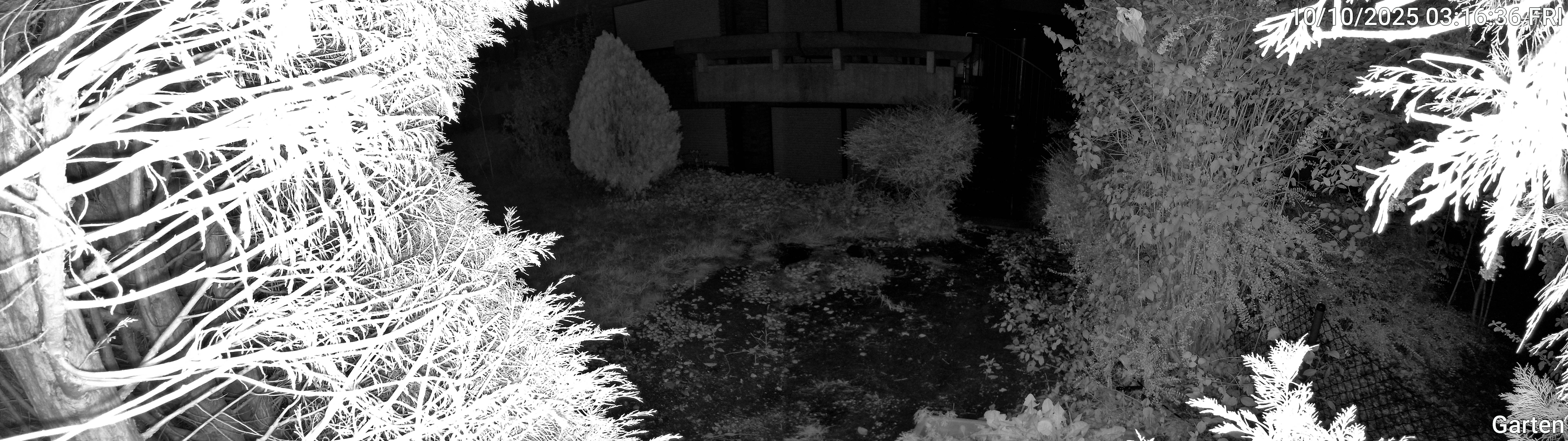 Garten_00_20251010031637.jpg