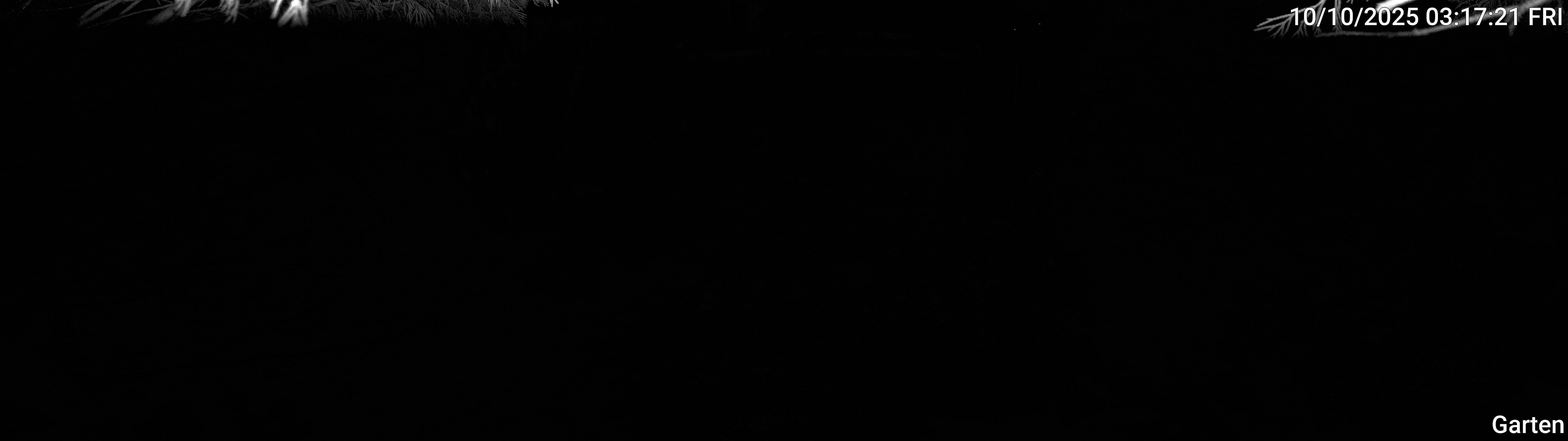 Garten_00_20251010031721.jpg