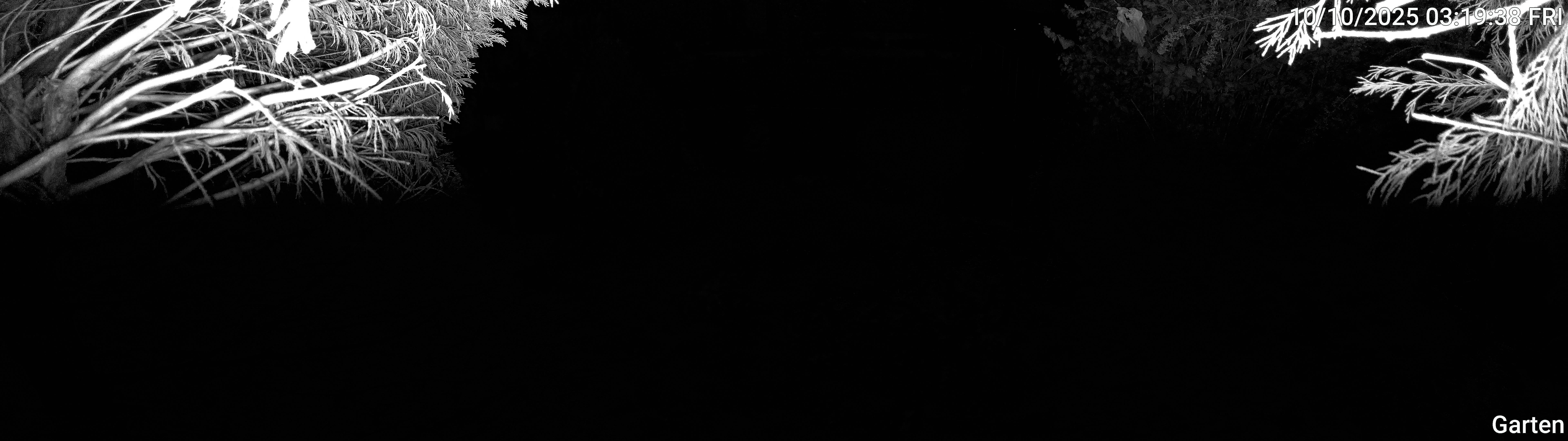 Garten_00_20251010031938.jpg
