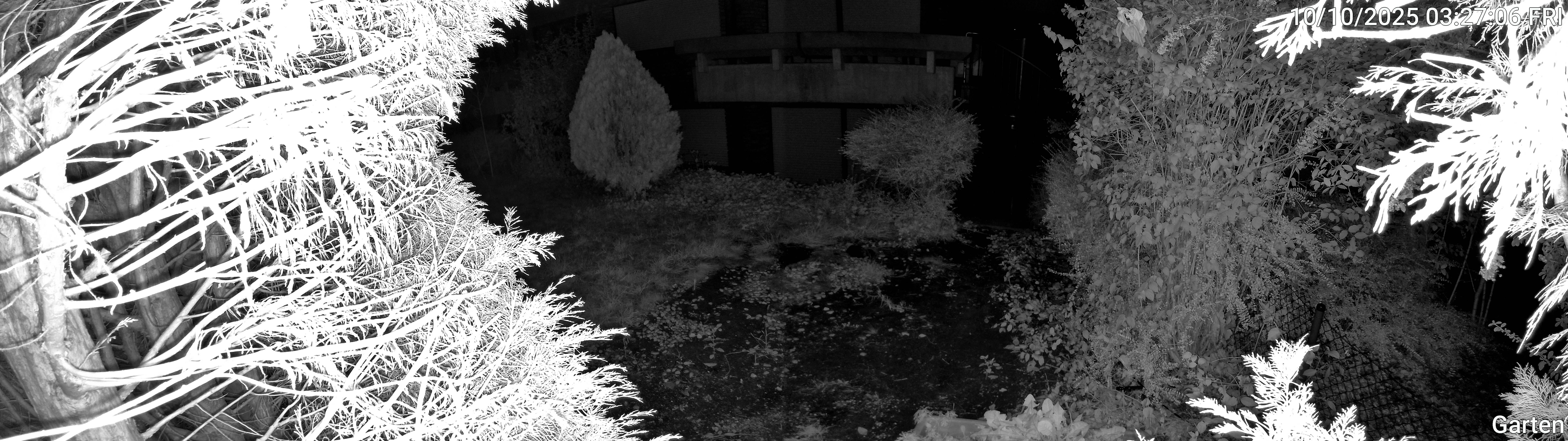 Garten_00_20251010032706.jpg
