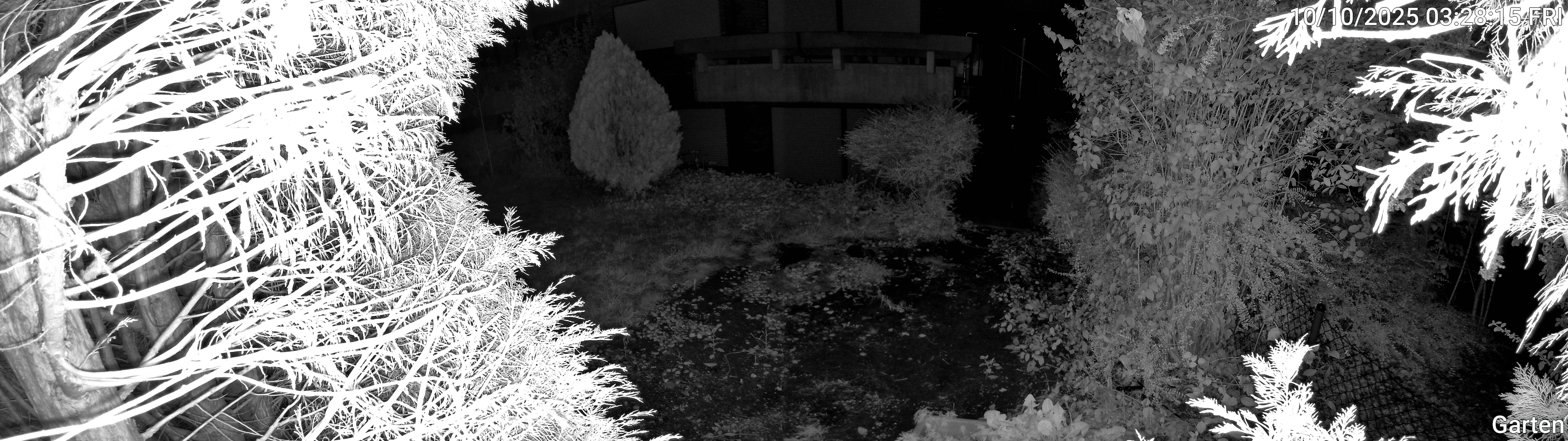 Garten_00_20251010032815.jpg