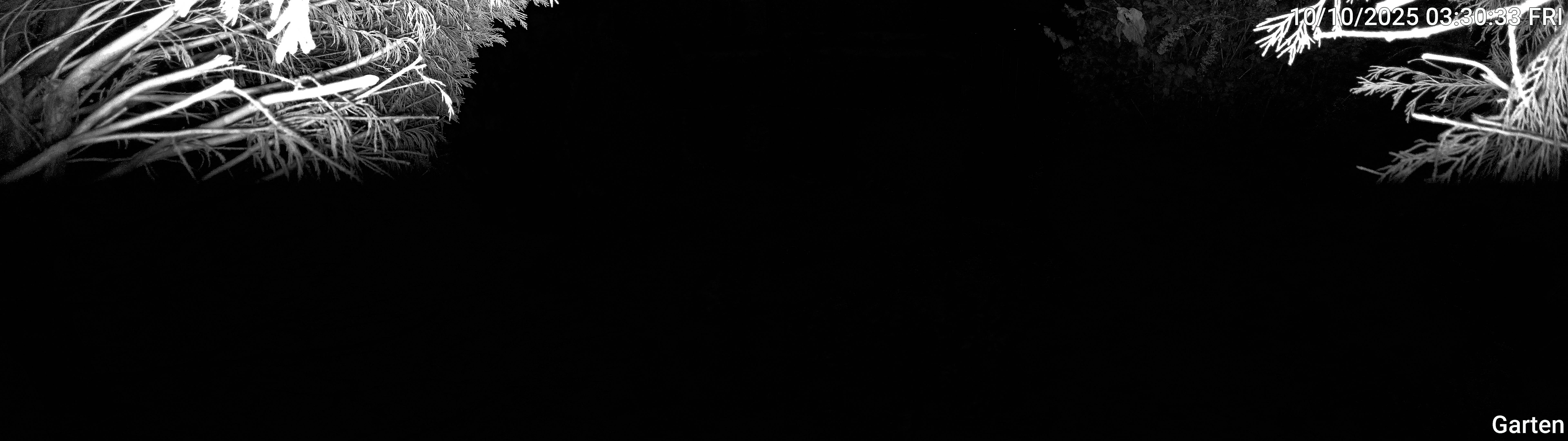 Garten_00_20251010033033.jpg