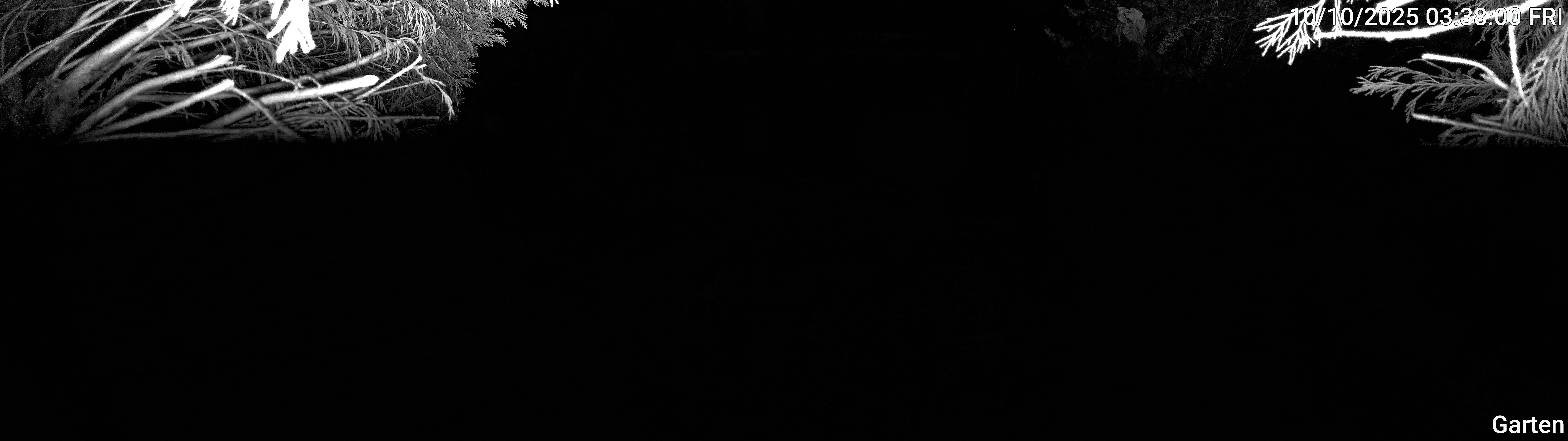 Garten_00_20251010033800.jpg