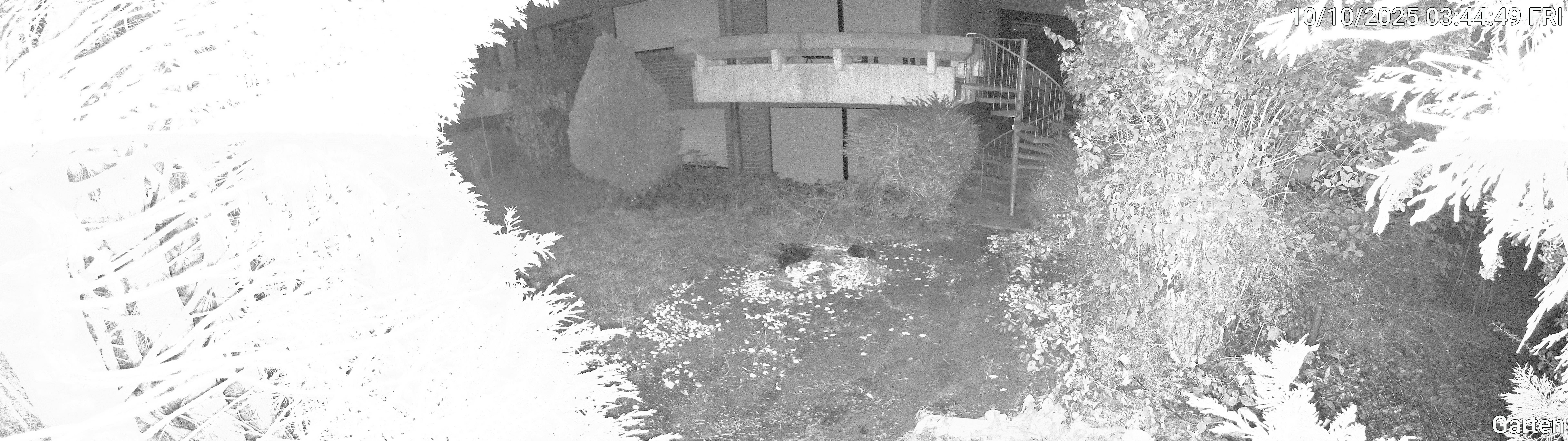 Garten_00_20251010034449.jpg
