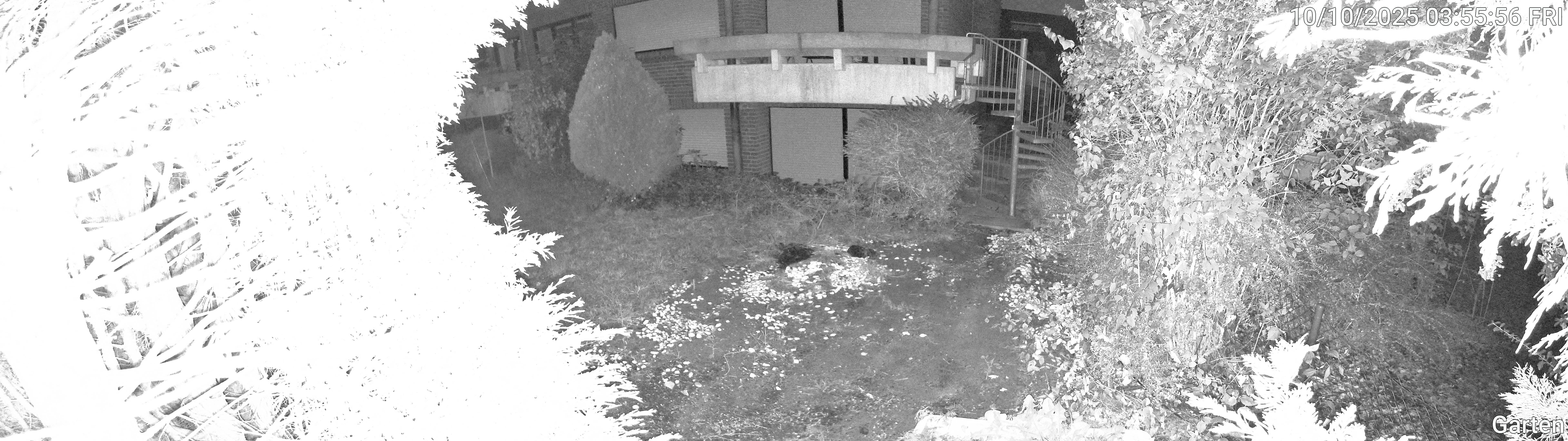 Garten_00_20251010035556.jpg