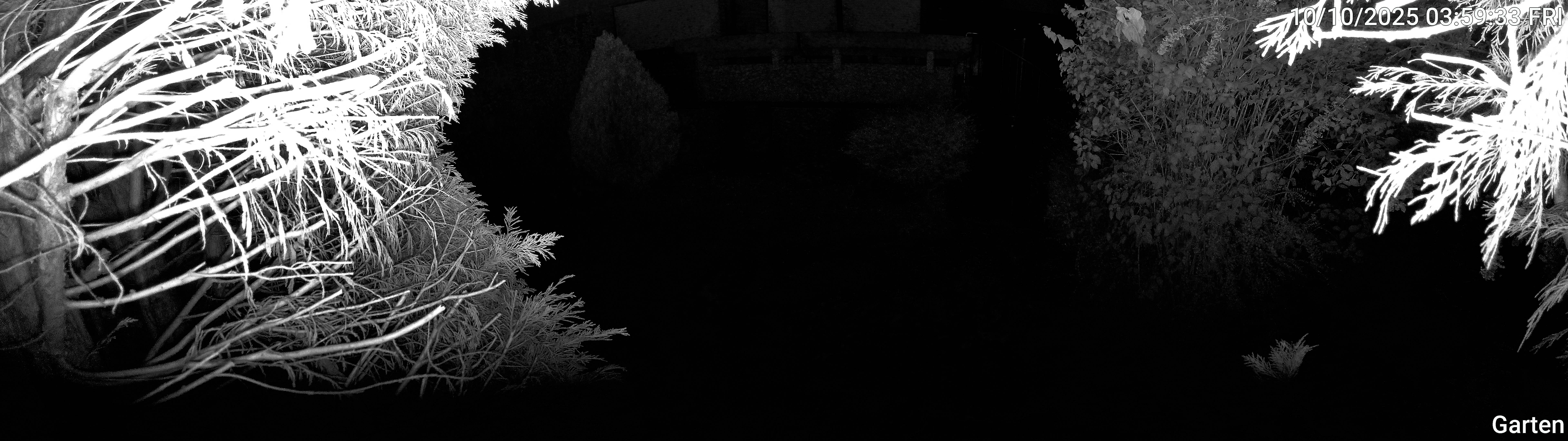 Garten_00_20251010035933.jpg