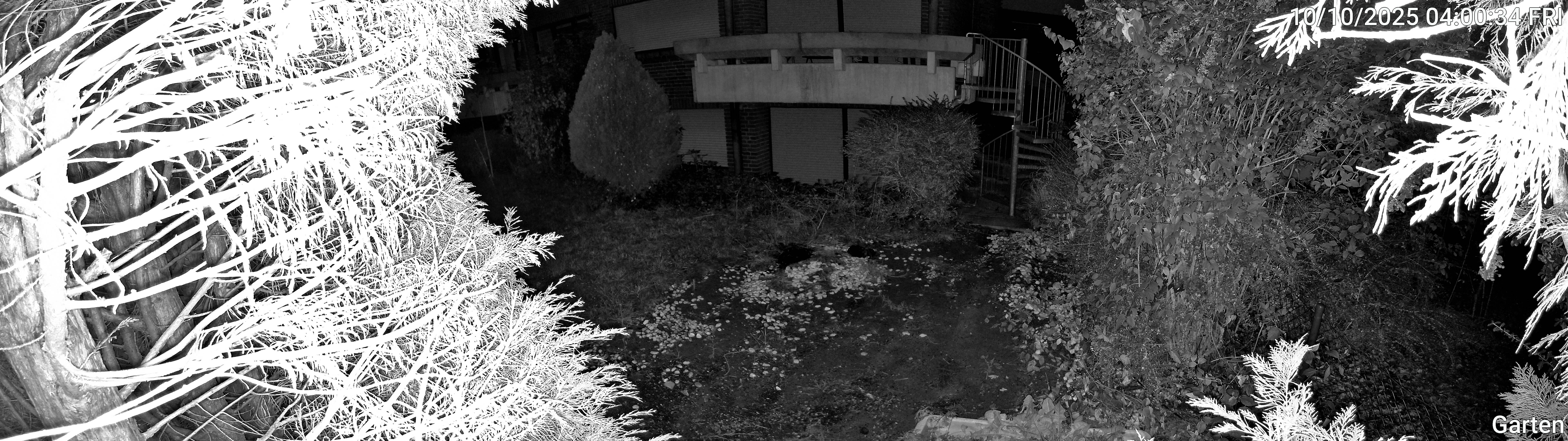 Garten_00_20251010040034.jpg