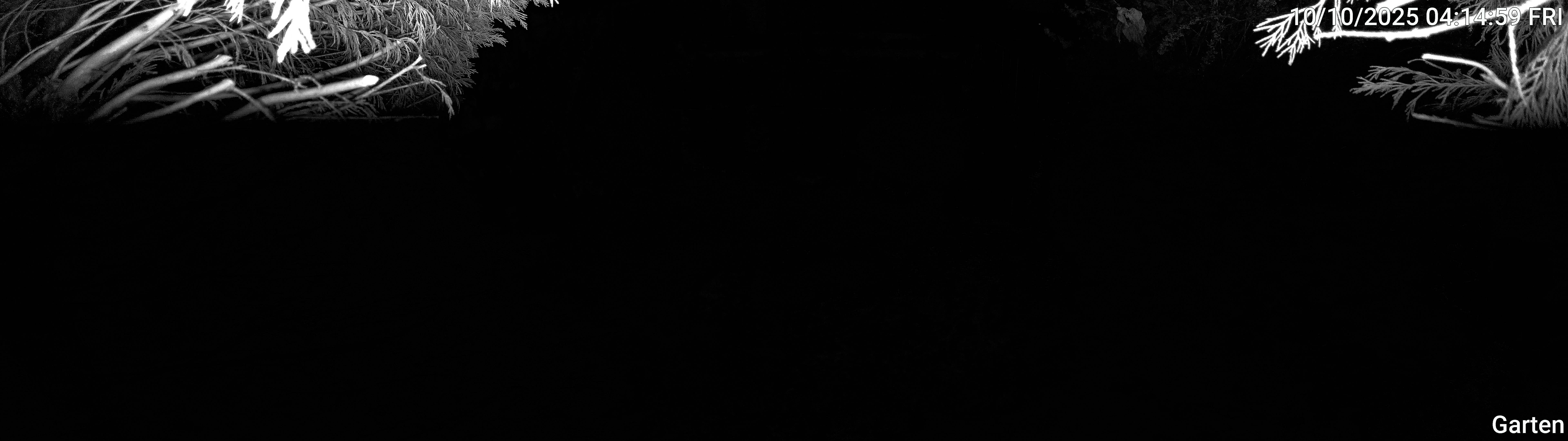 Garten_00_20251010041459.jpg