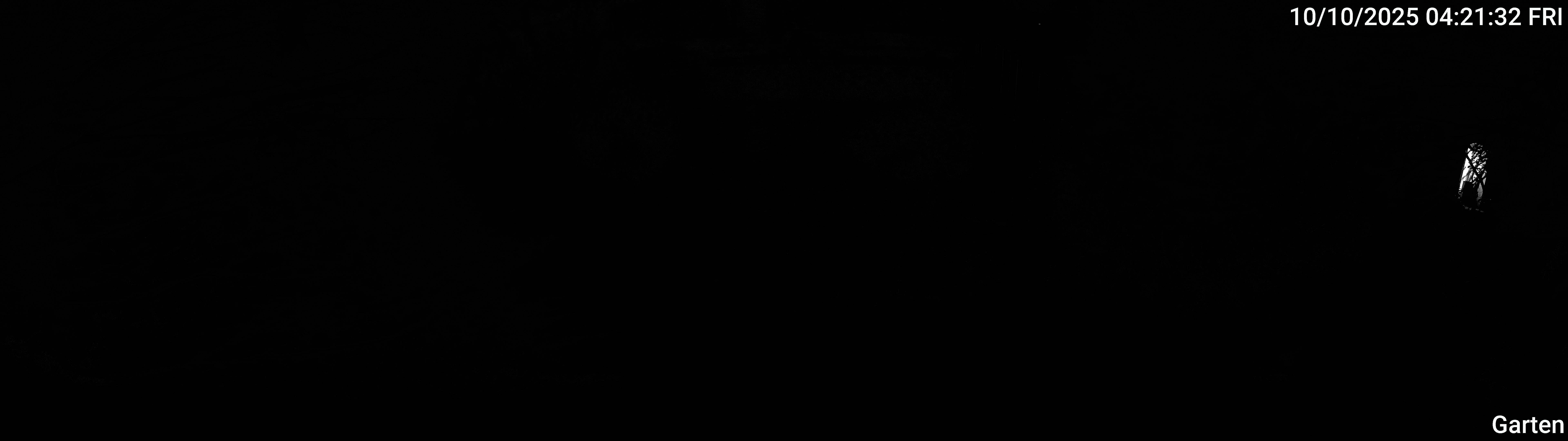 Garten_00_20251010042132.jpg