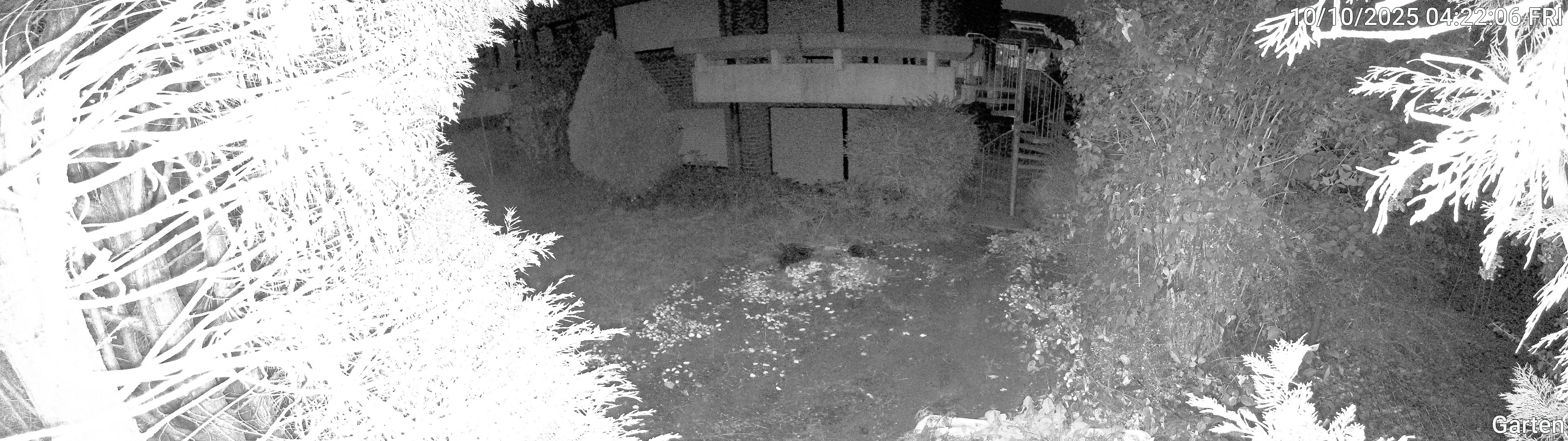 Garten_00_20251010042206.jpg