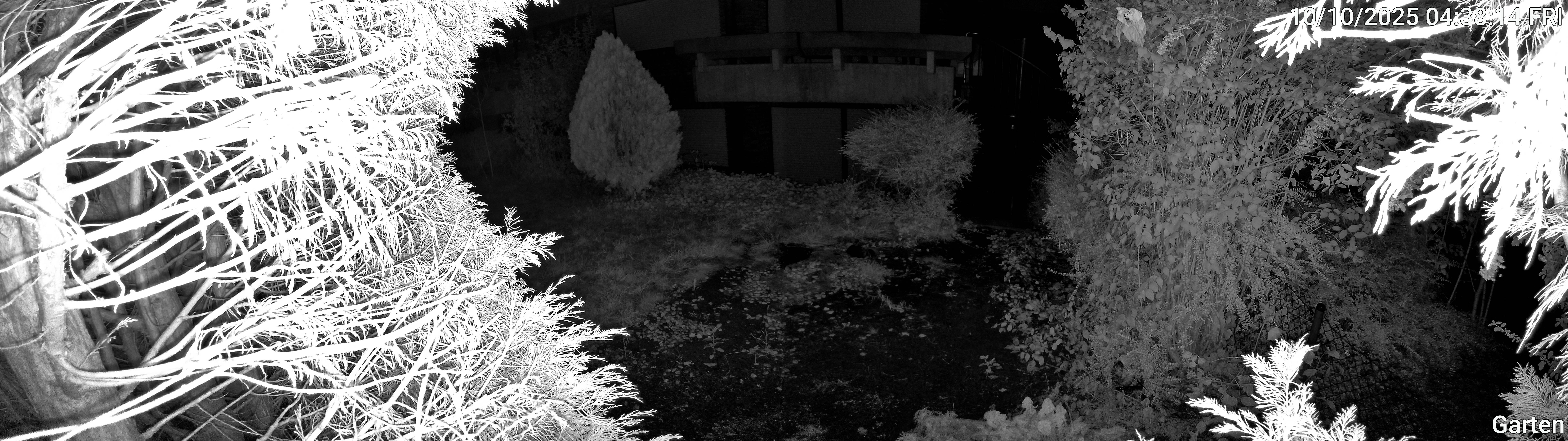 Garten_00_20251010043814.jpg