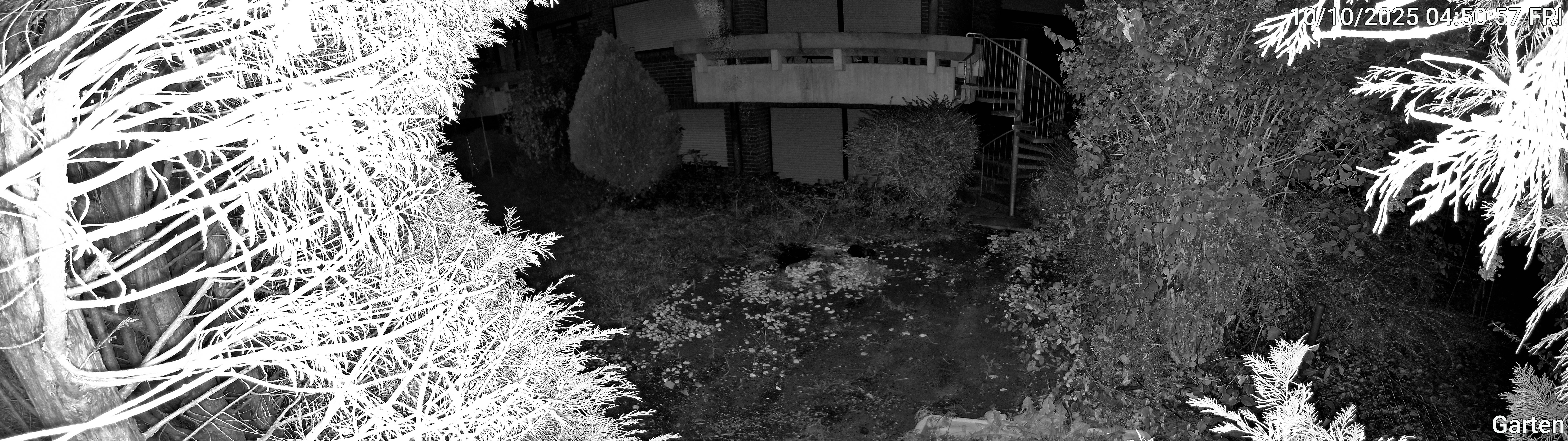Garten_00_20251010045057.jpg