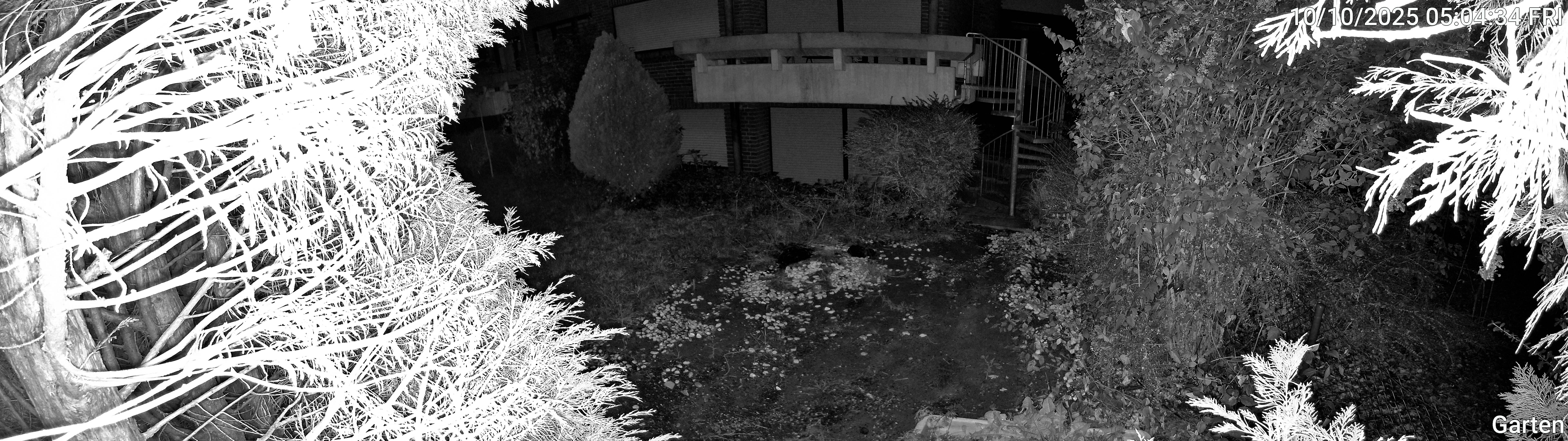 Garten_00_20251010050434.jpg