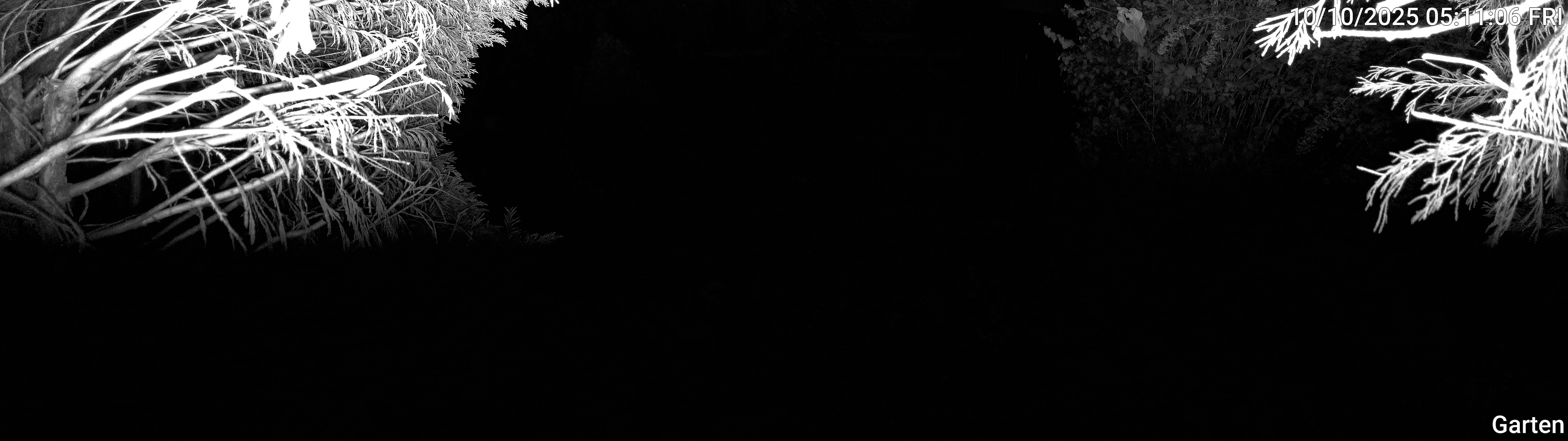Garten_00_20251010051106.jpg