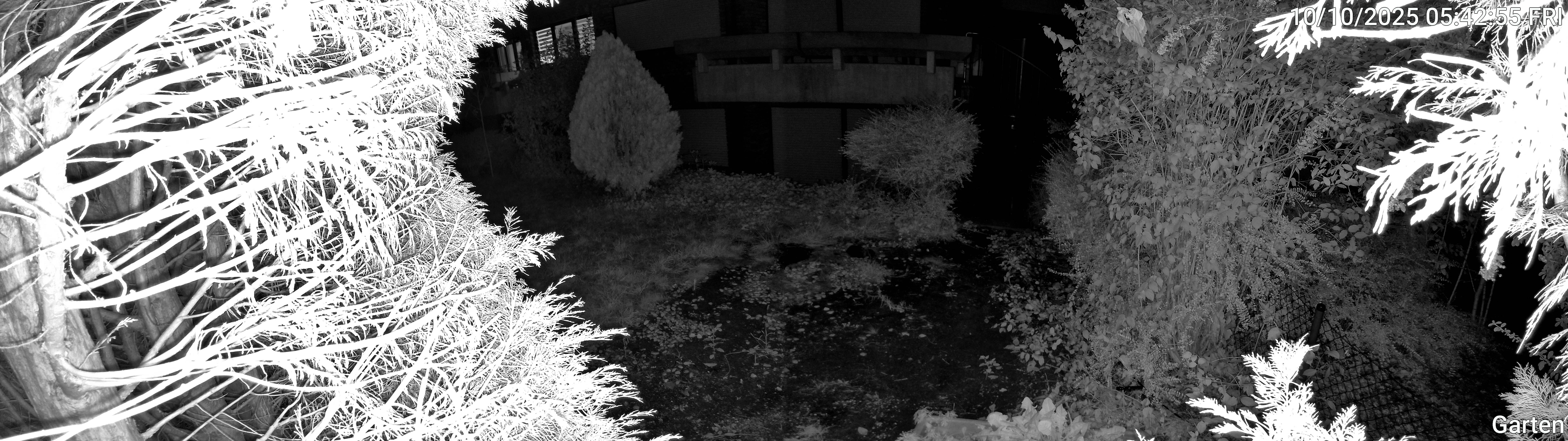 Garten_00_20251010054255.jpg