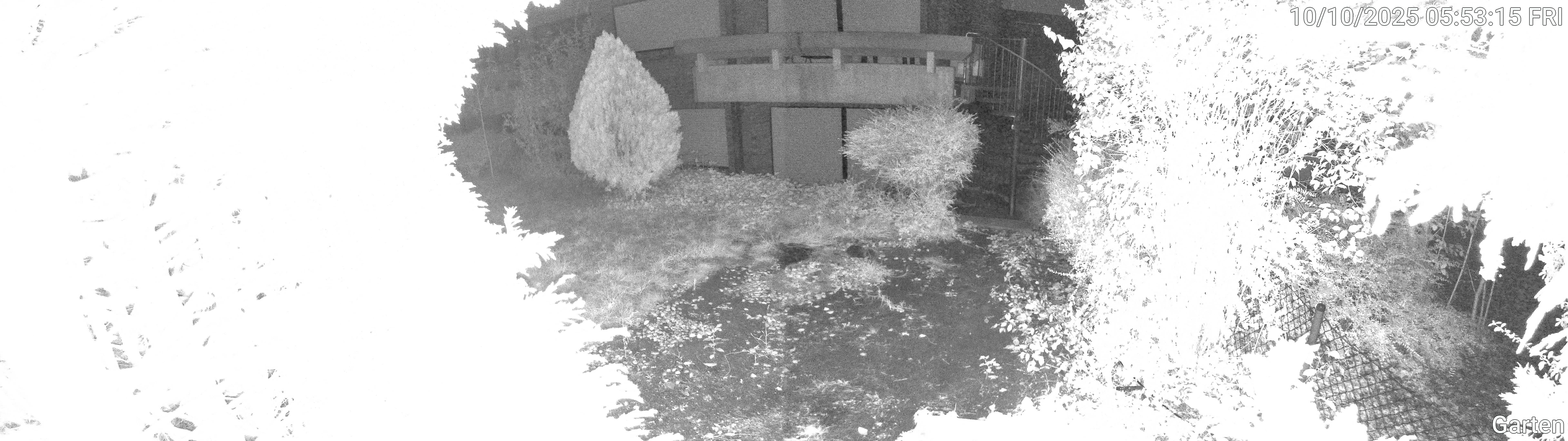 Garten_00_20251010055315.jpg