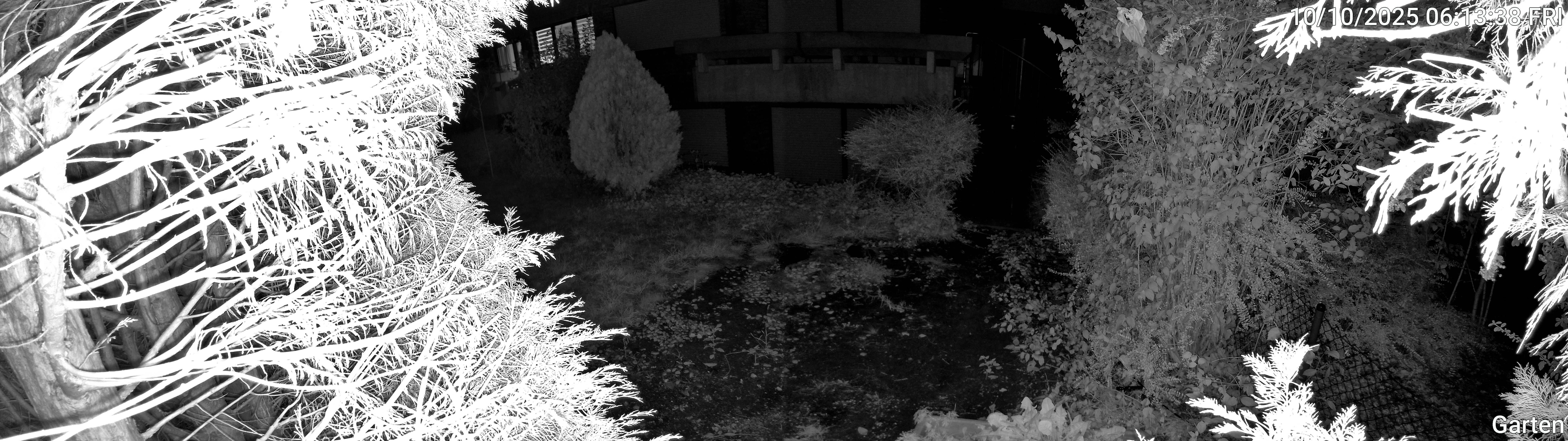 Garten_00_20251010061338.jpg