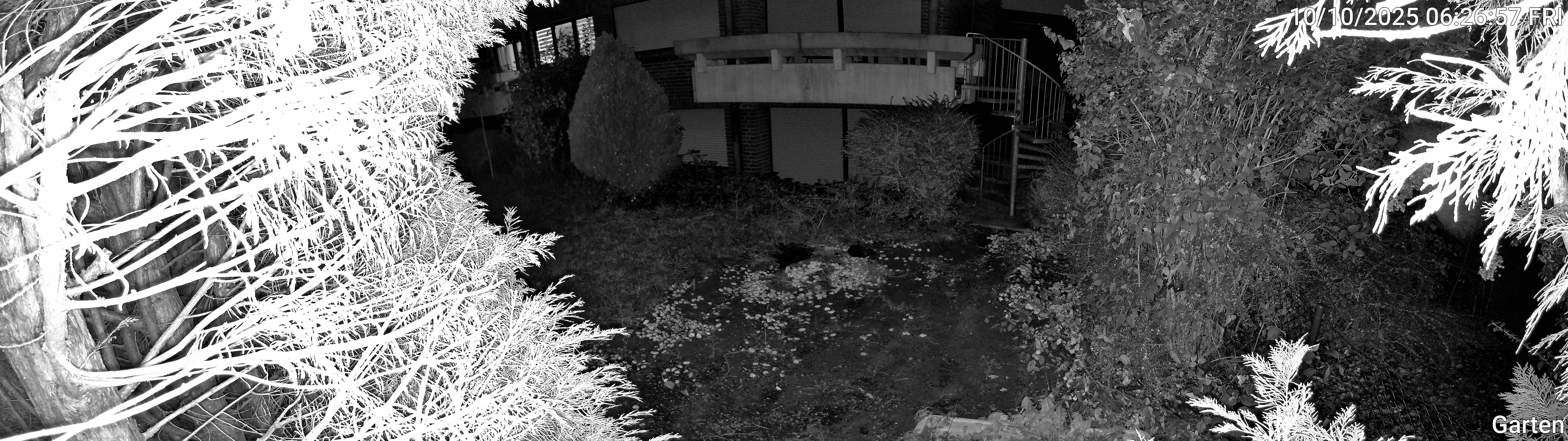 Garten_00_20251010062657.jpg
