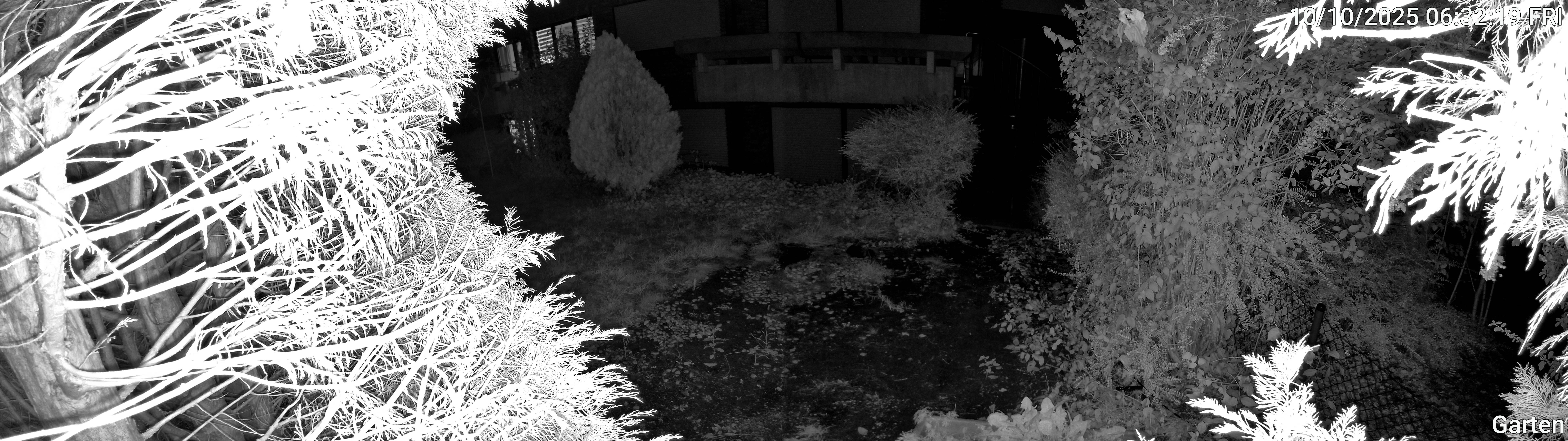 Garten_00_20251010063219.jpg