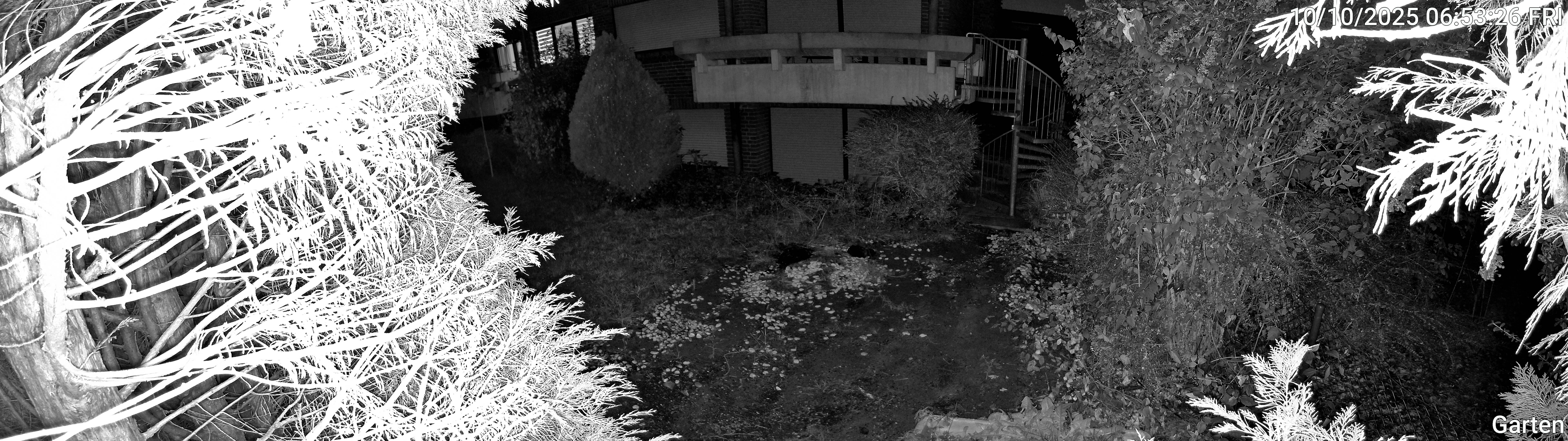 Garten_00_20251010065326.jpg