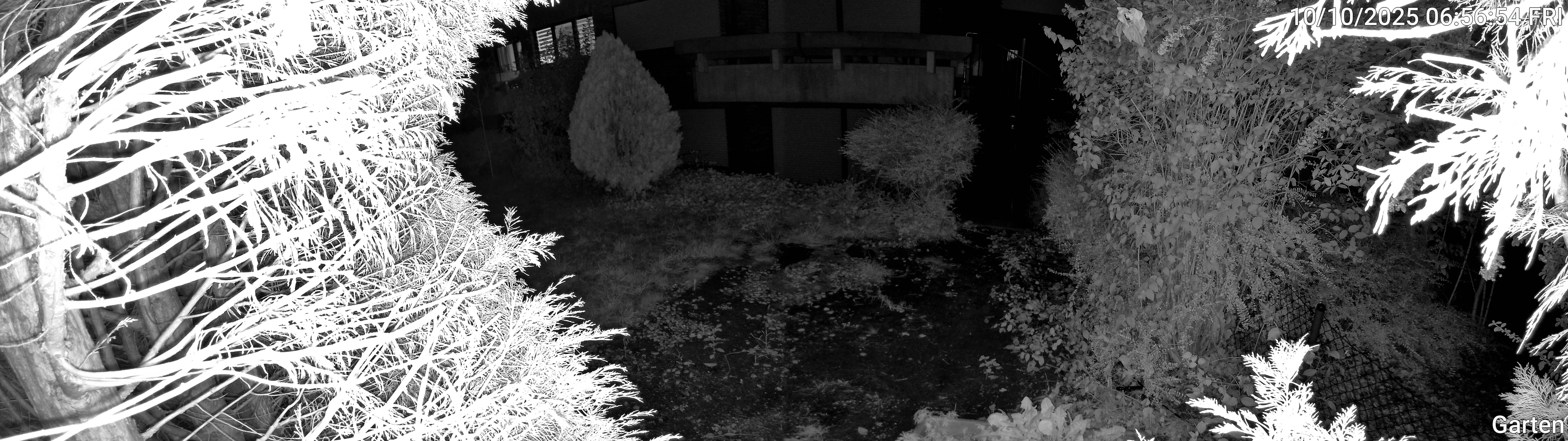Garten_00_20251010065654.jpg