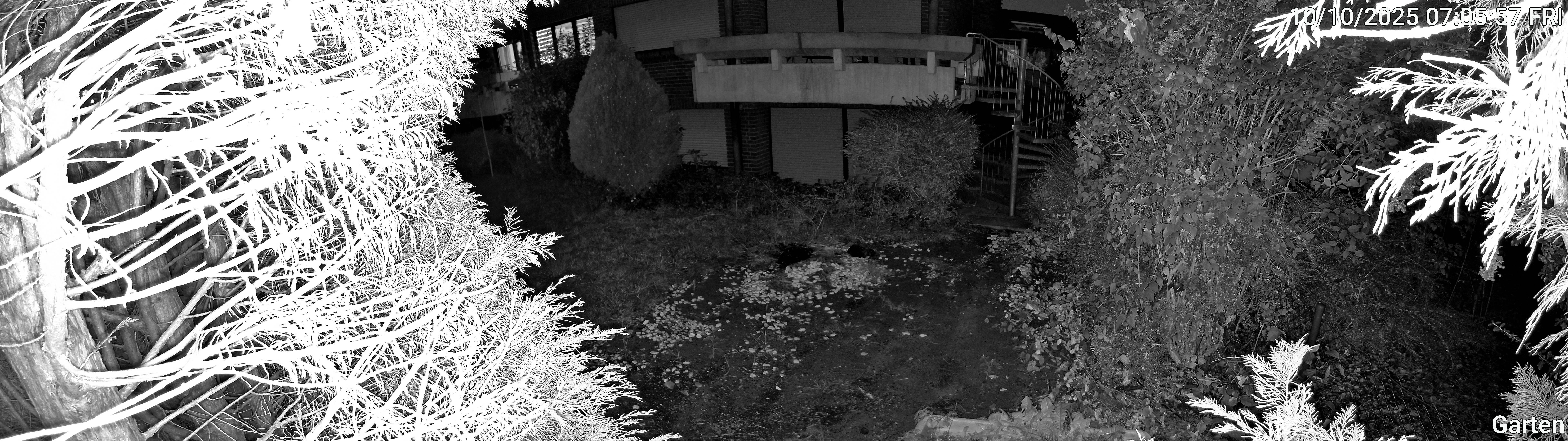 Garten_00_20251010070557.jpg