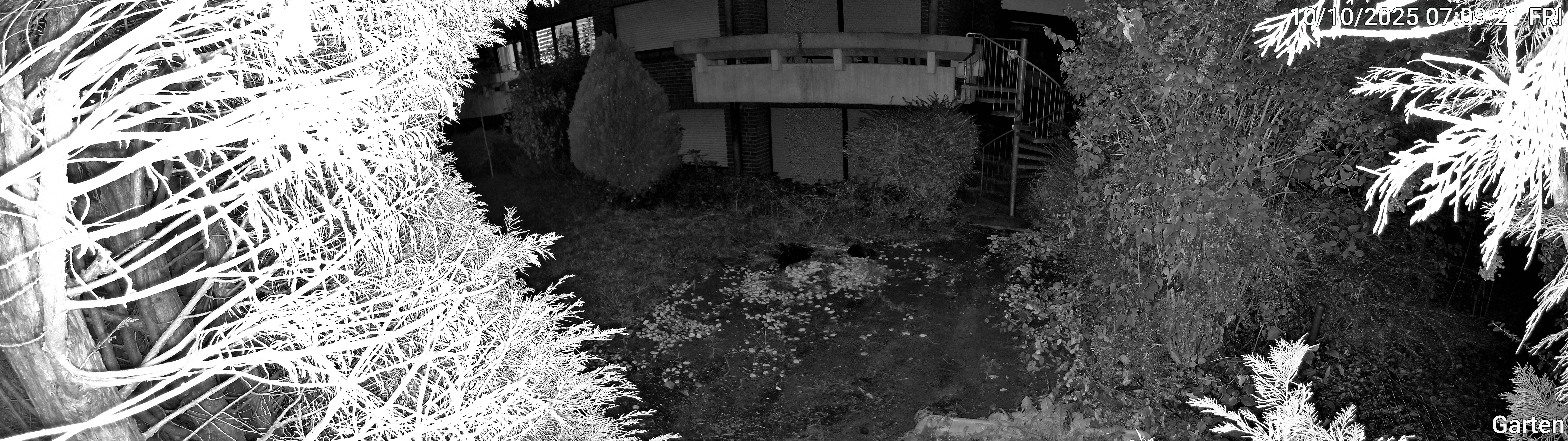 Garten_00_20251010070921.jpg
