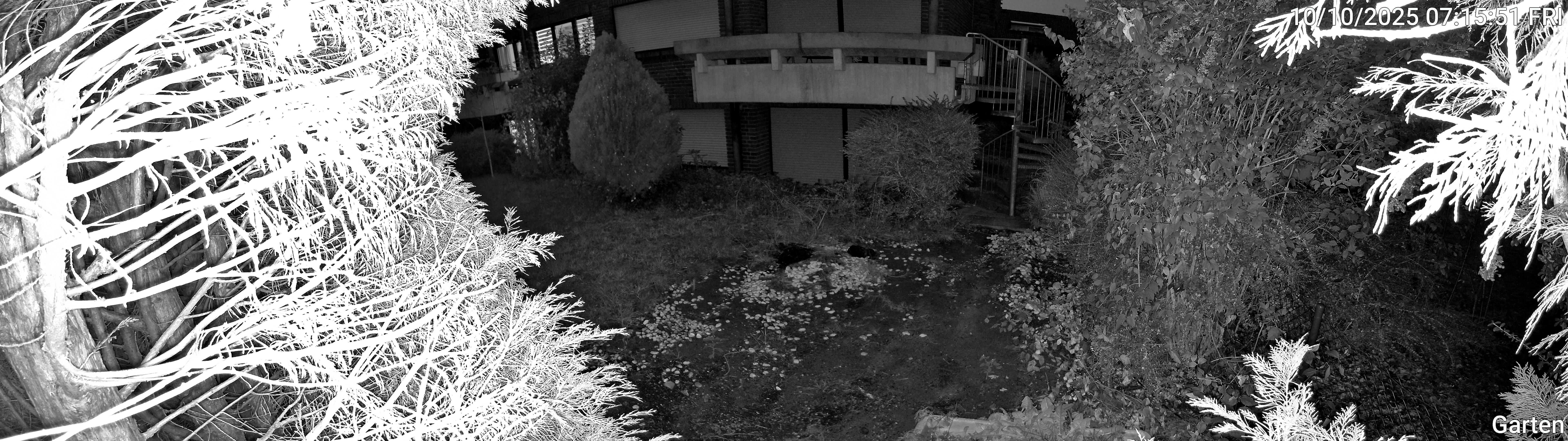 Garten_00_20251010071551.jpg