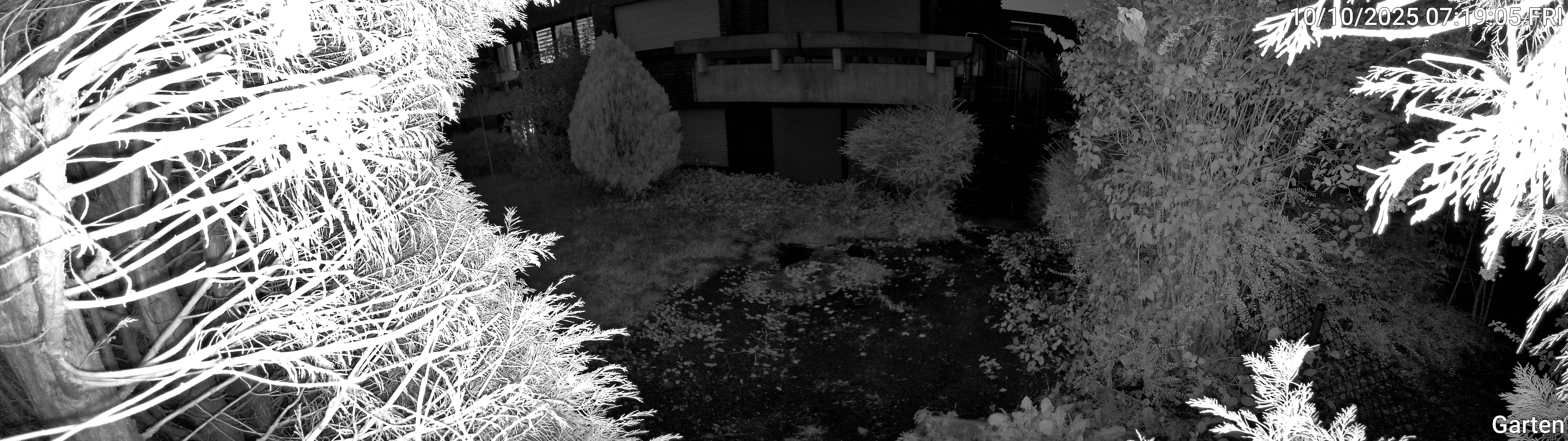 Garten_00_20251010071905.jpg