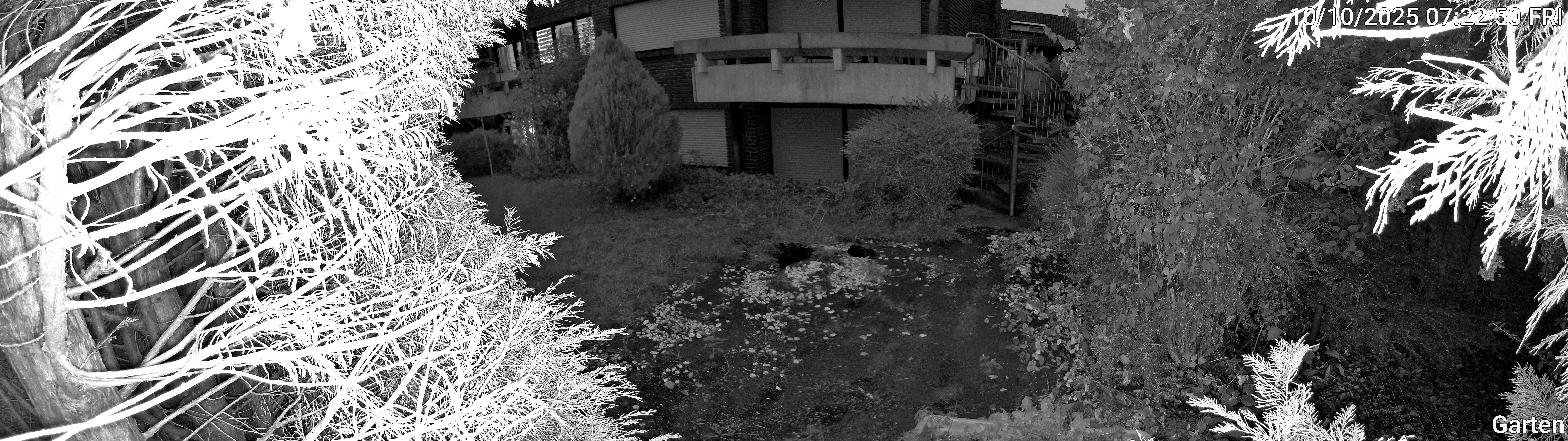 Garten_00_20251010072250.jpg