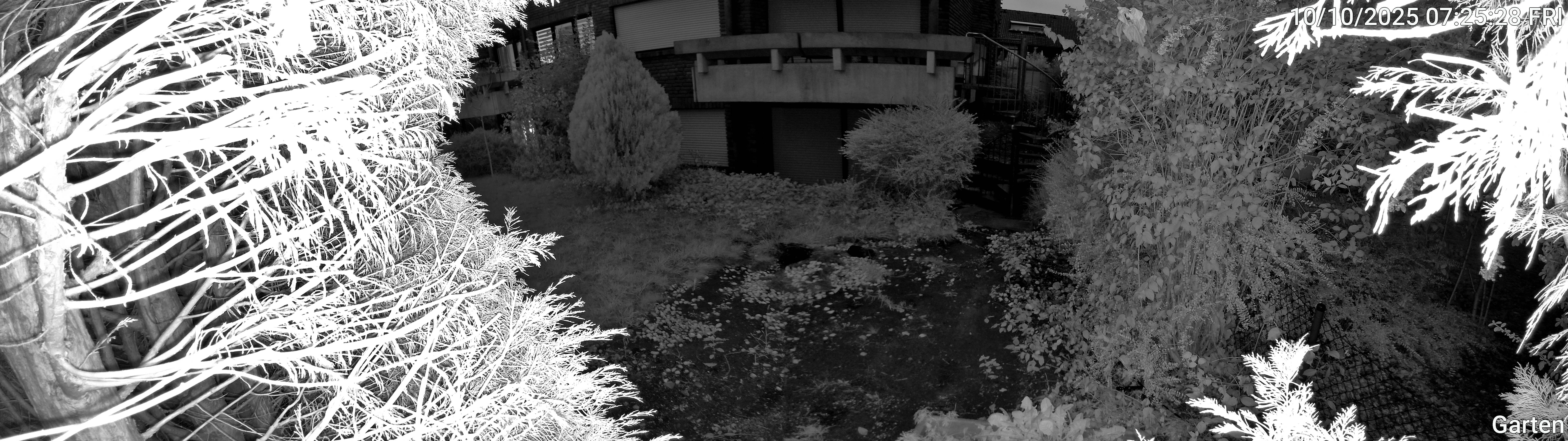 Garten_00_20251010072529.jpg
