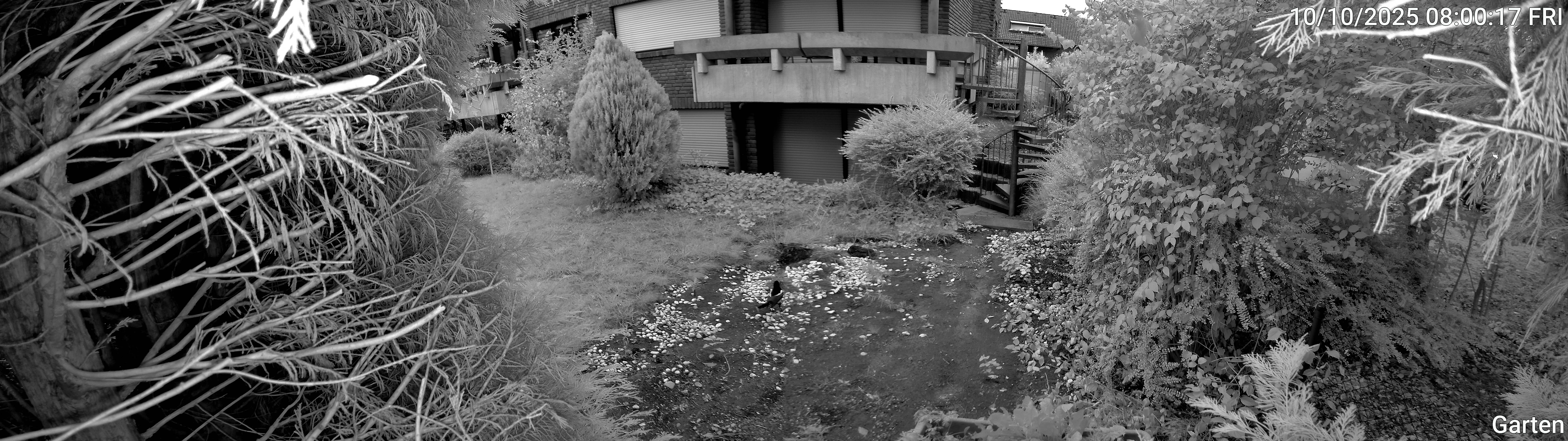 Garten_00_20251010080017.jpg