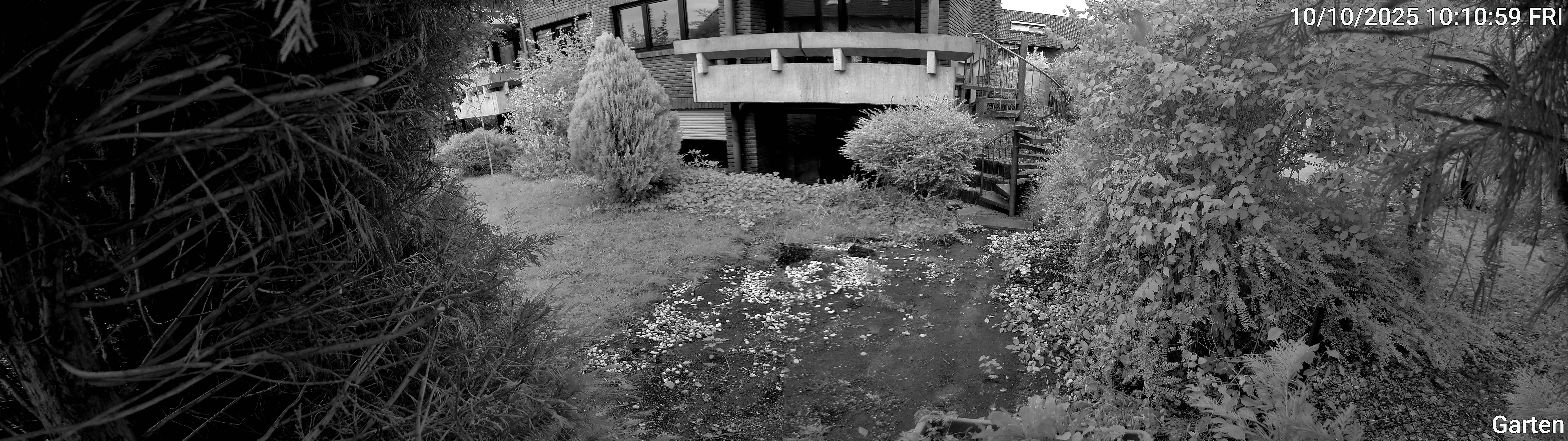 Garten_00_20251010101100.jpg