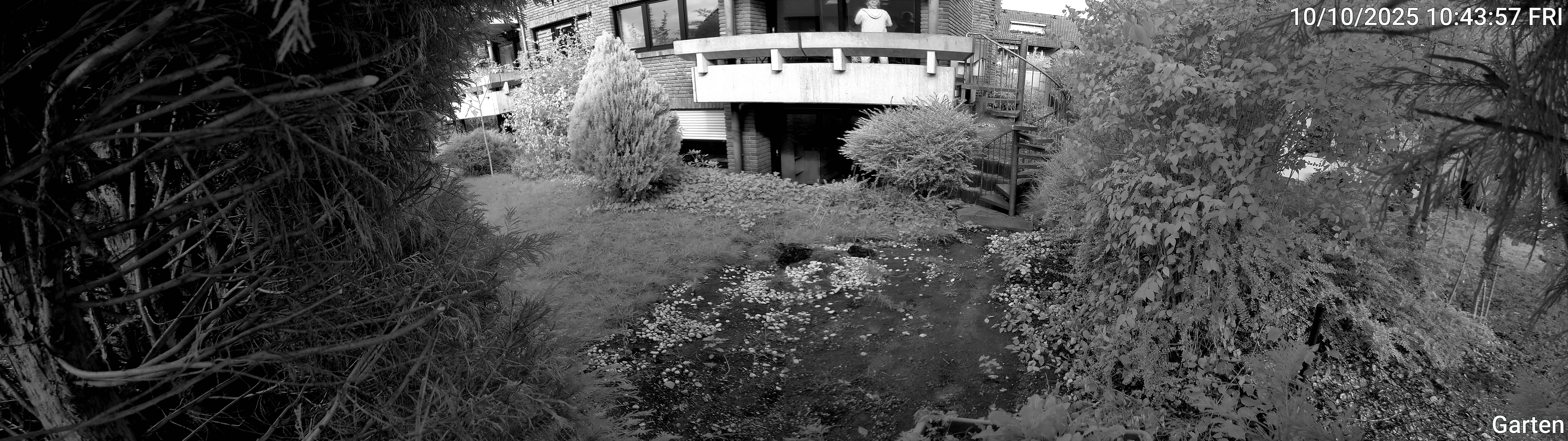 Garten_00_20251010104358.jpg