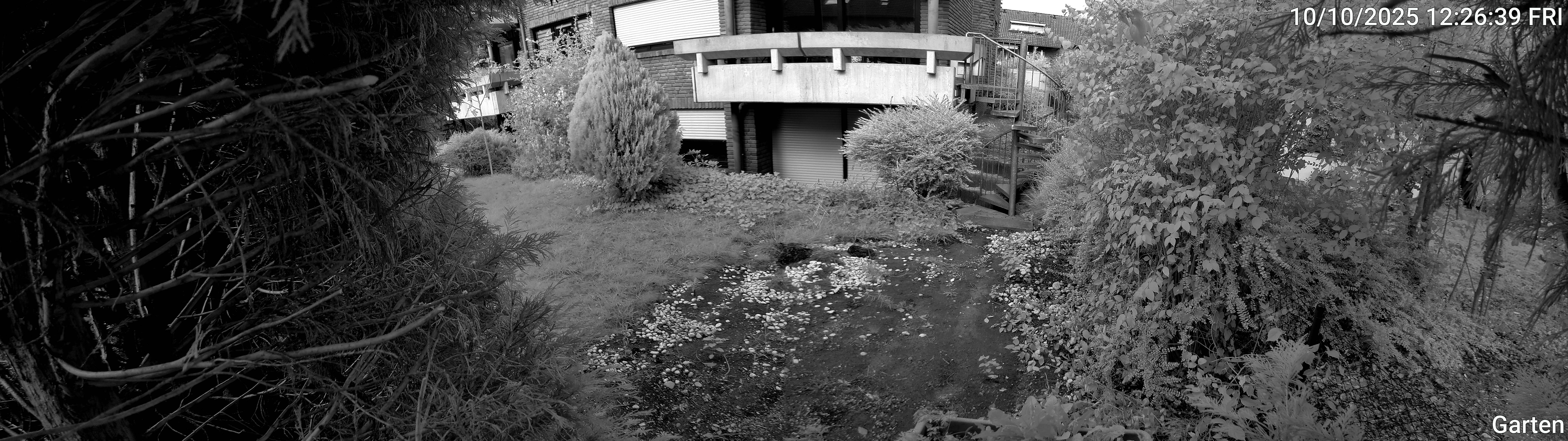Garten_00_20251010122640.jpg