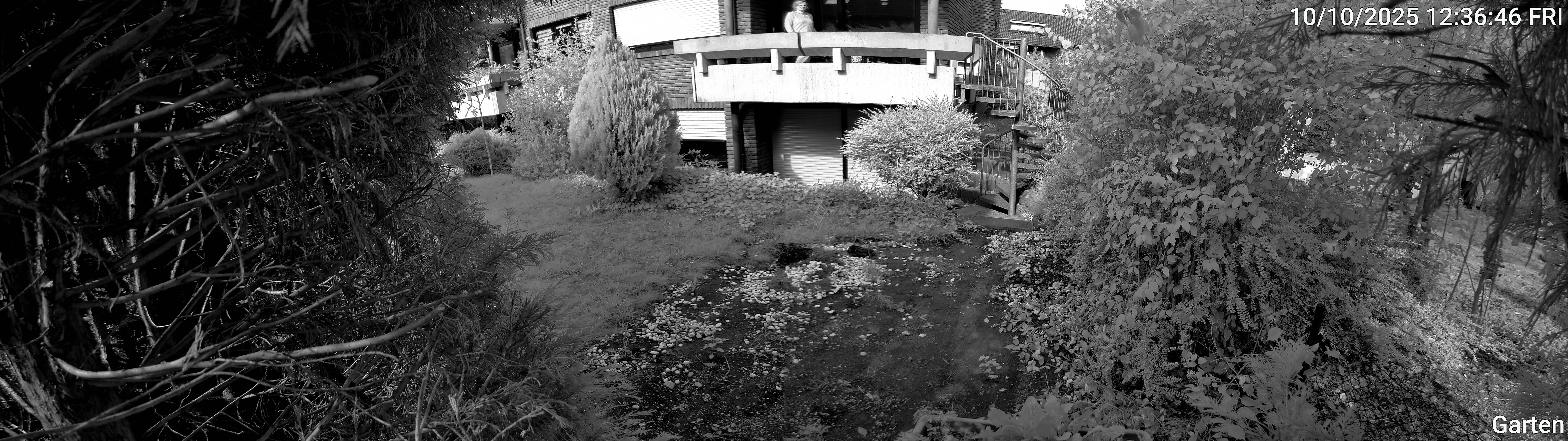 Garten_00_20251010123646.jpg