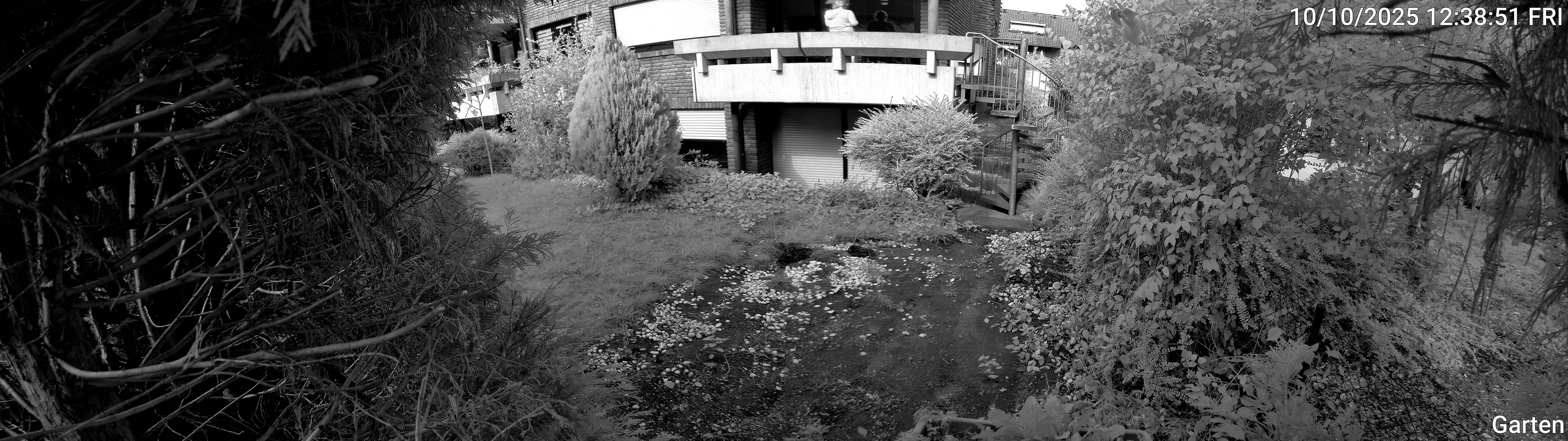 Garten_00_20251010123852.jpg