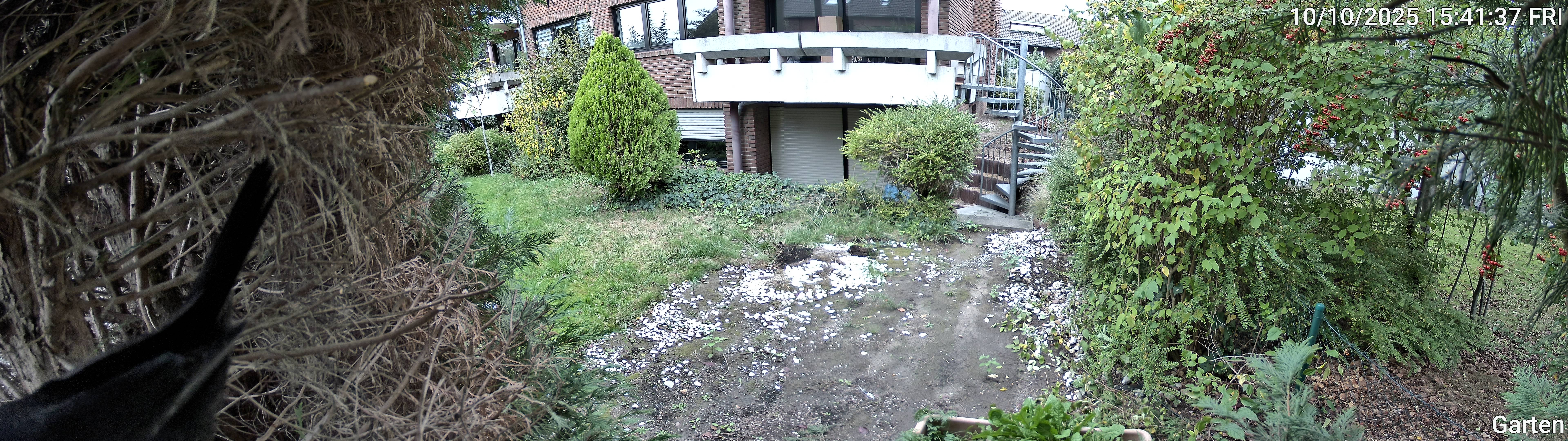 Garten_00_20251010154137.jpg