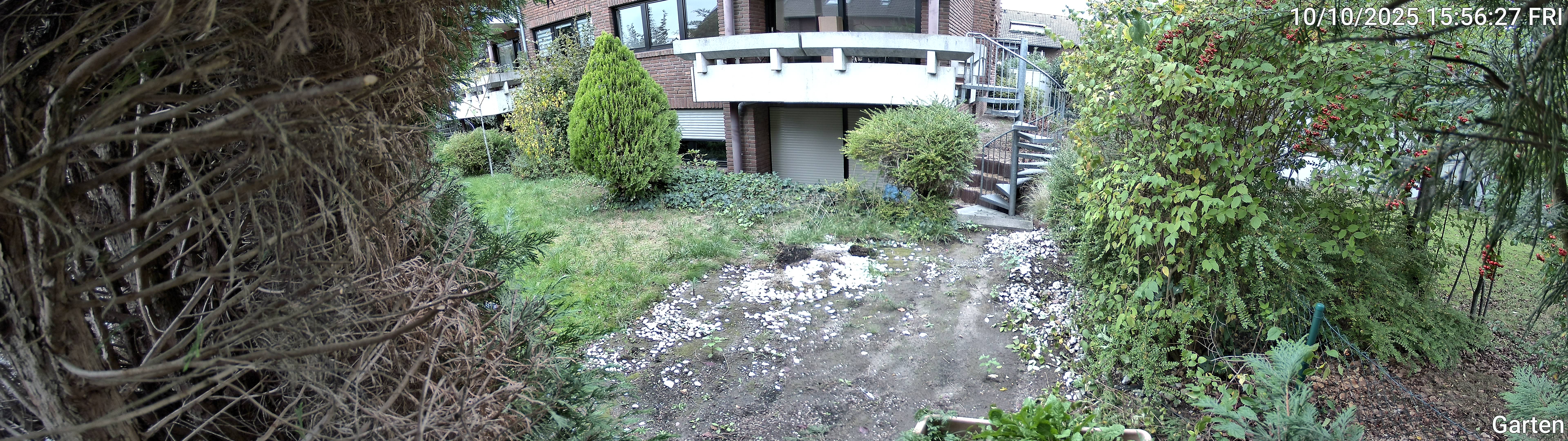 Garten_00_20251010155627.jpg