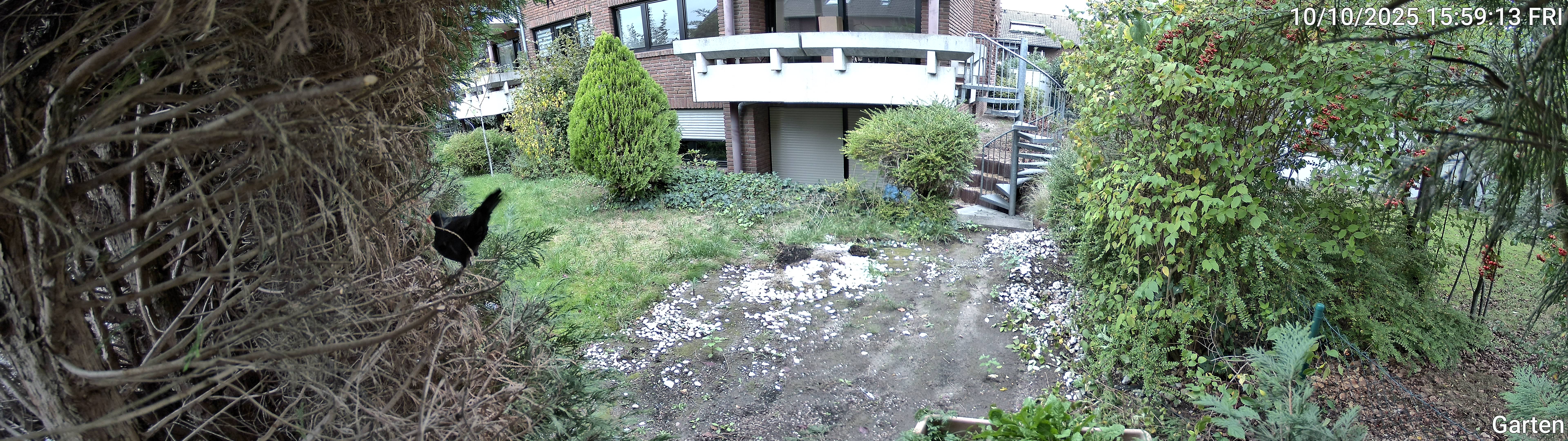 Garten_00_20251010155913.jpg