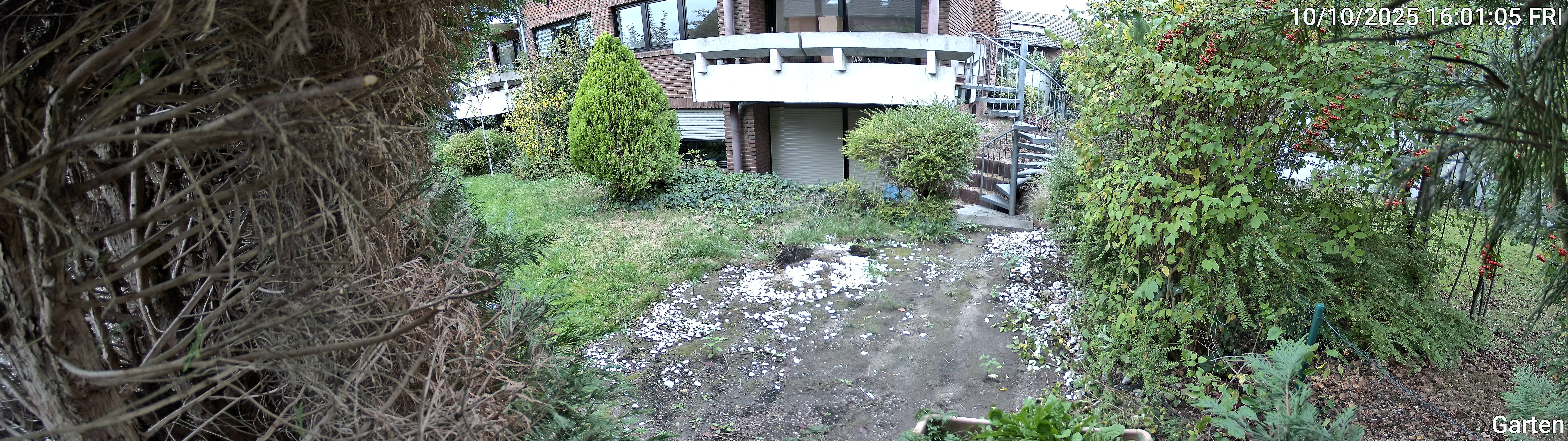 Garten_00_20251010160105.jpg