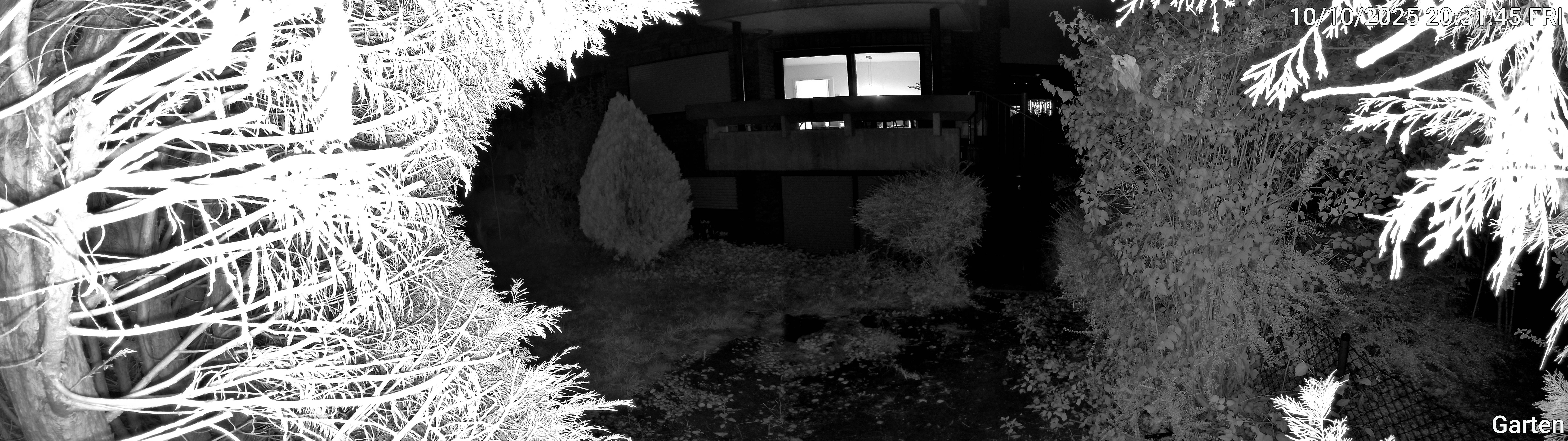 Garten_00_20251010203145.jpg