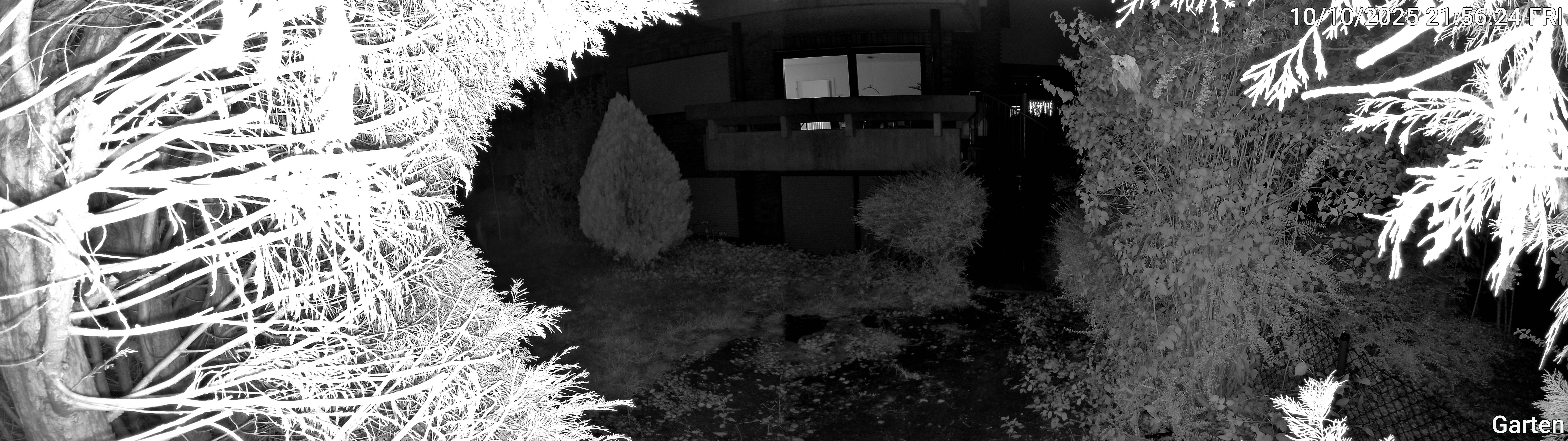 Garten_00_20251010215624.jpg