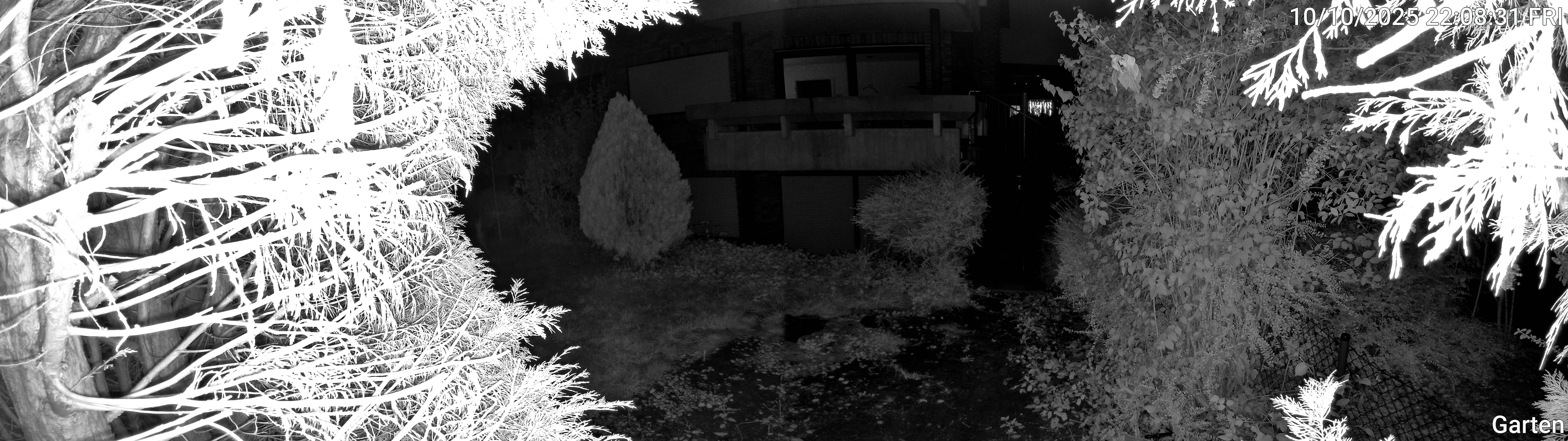 Garten_00_20251010220831.jpg