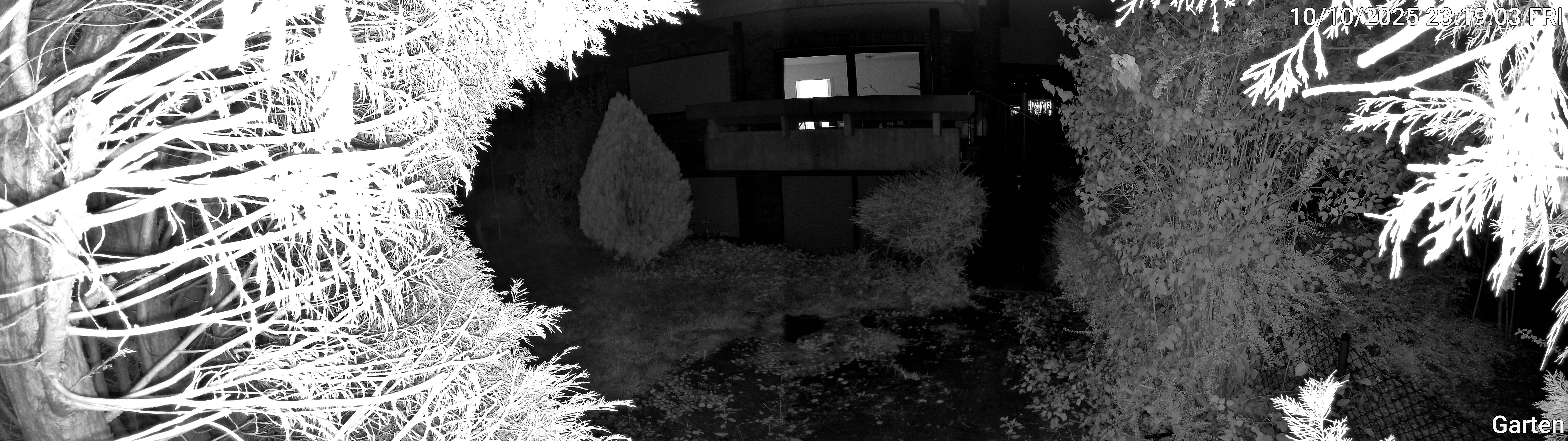 Garten_00_20251010231903.jpg