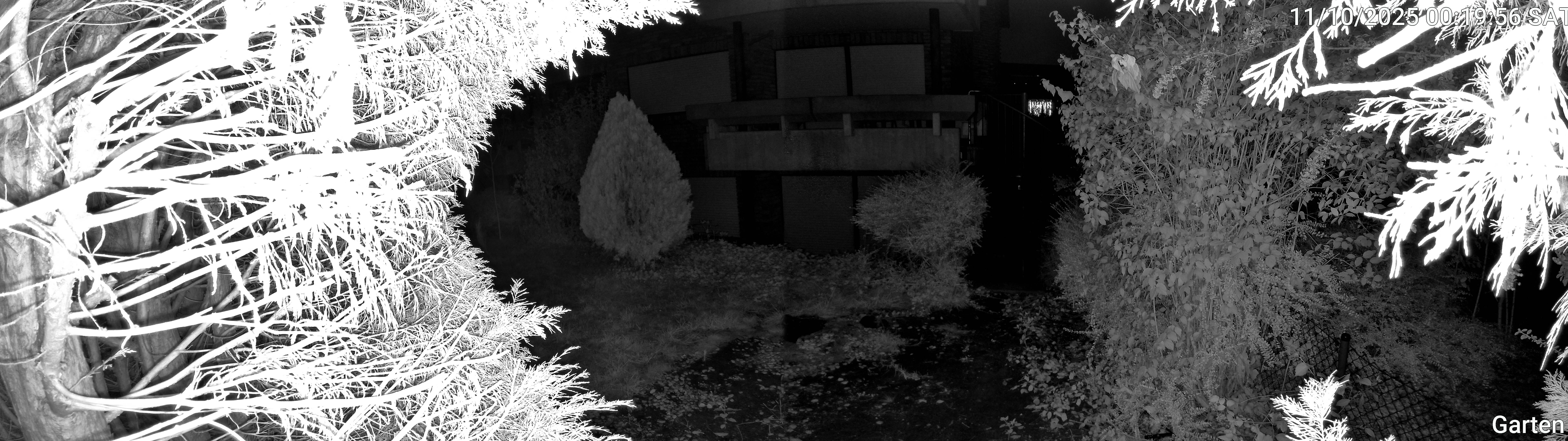 Garten_00_20251011001956.jpg