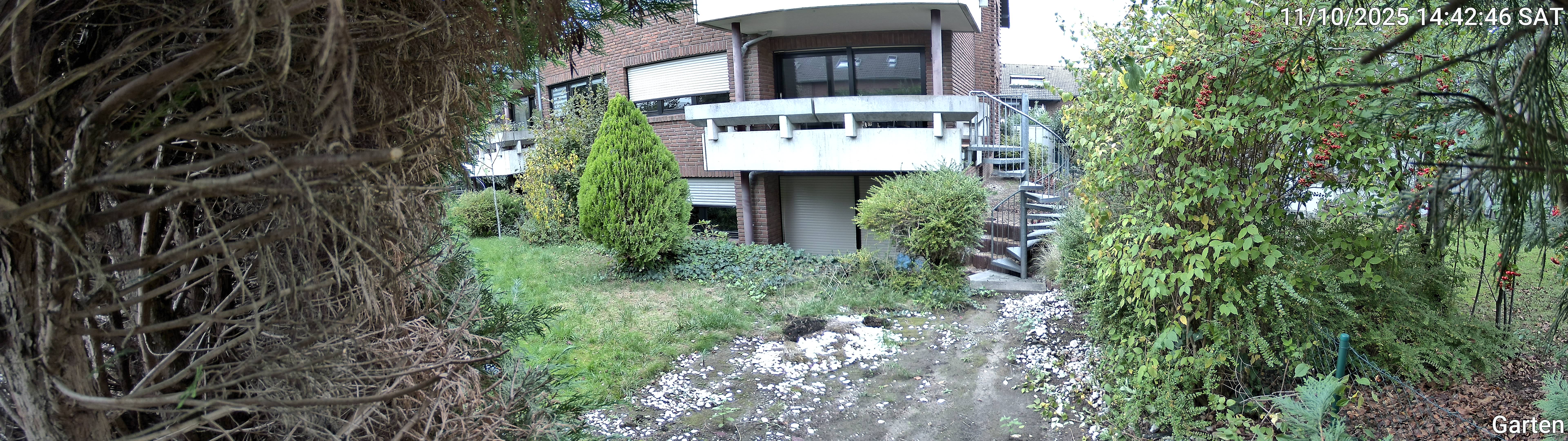 Garten_00_20251011144246.jpg