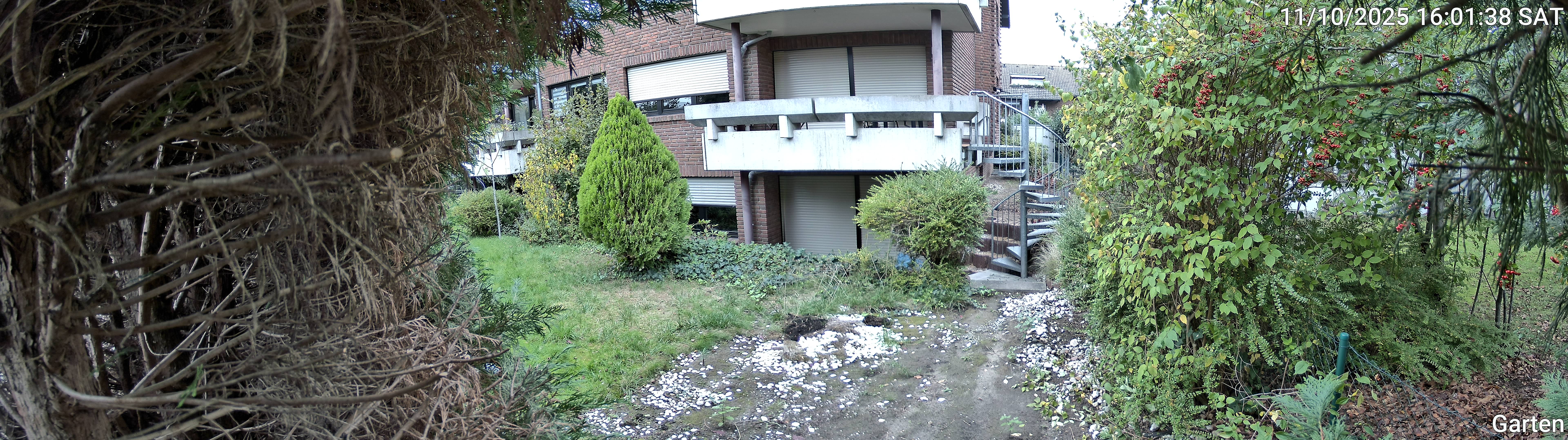 Garten_00_20251011160138.jpg